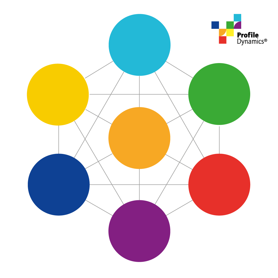Profile Dynamics® Speelmat 'Waardendiagram' 2x2m