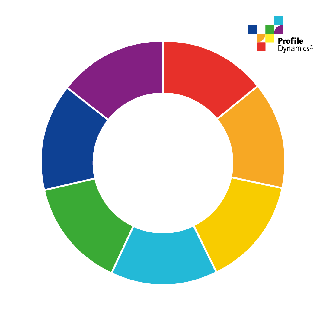 Profile Dynamics® Speelmat 'Kleurencirkel' 2x2m